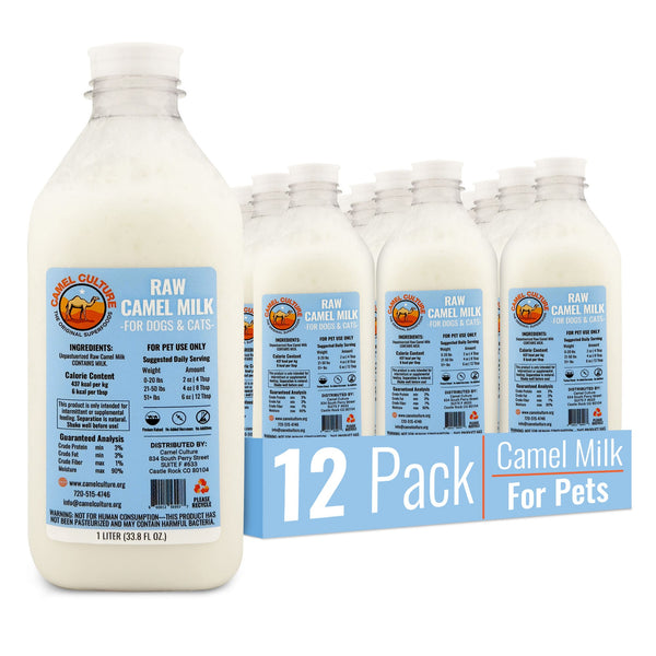 Camel milk bottles with blue labels and a '12 Pack' box on a white background