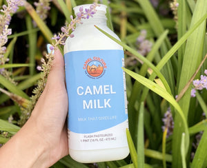 Hand holding a bottle of Camel Milk with a blue label against a natural background