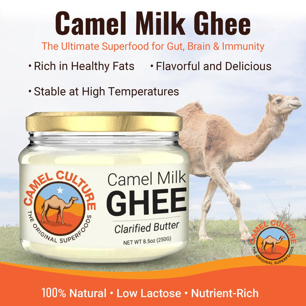Jar of Camel Milk Ghee with a camel in the background on a grassy field.