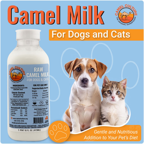 Camel milk product for dogs and cats with a bottle and two animals on a blue background