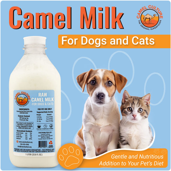Camel milk for dogs and cats with a bottle and two pets on a blue background