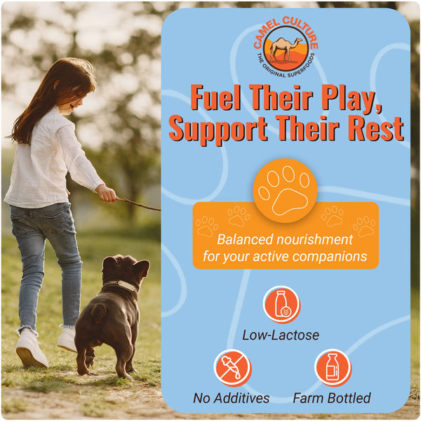 Woman walking a dog with Camel Culture product packaging in the background