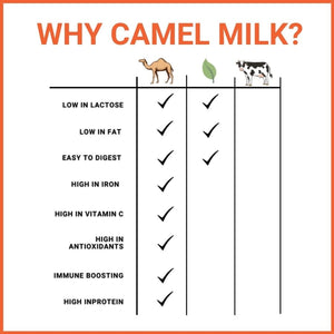 camel milk benefits infographic compared to plant-based milk and cow milk