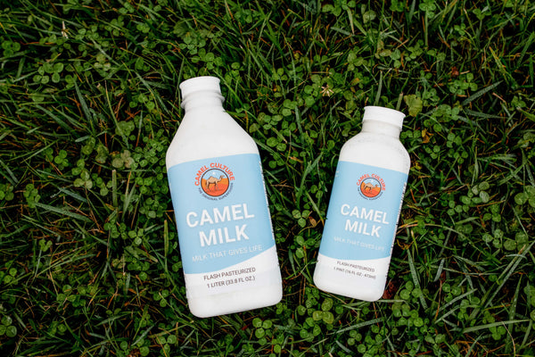 Is It Good to Drink Camel Milk Every Day?