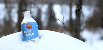camel milk frozen