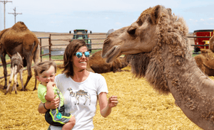 Lauren Fee is the founder of Camel Culture. A mother with her children and petting camels.