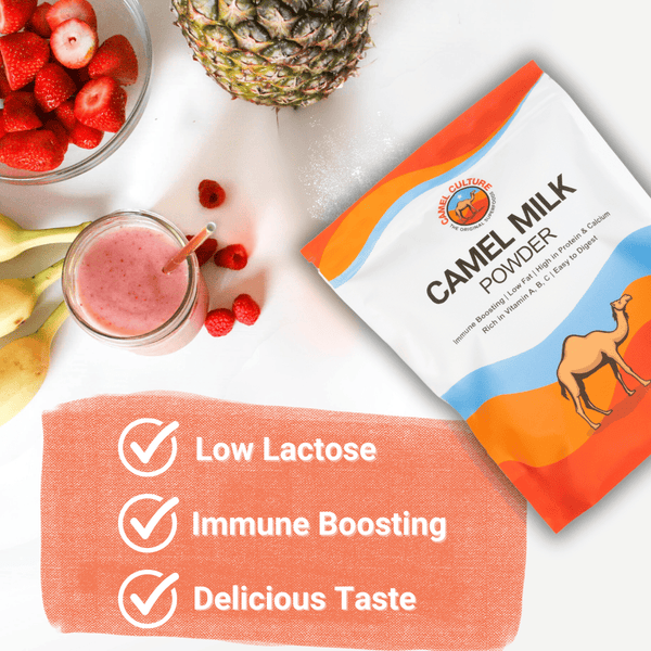 Camel Culture Dry Camel Milk Powder on a kitchen counter surrounded by fruit and a smoothie. Low lactose, Immune Boosting, and Delicious taste callouts present