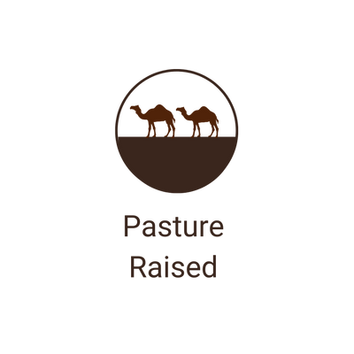 Our happy camels are pasture raised on our camel dairy farm 