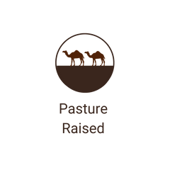 Our happy camels are pasture raised on our camel dairy farm 