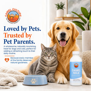 A bottle of Camel Culture Camel Milk pet drink is shown next to a blue pet bowl, with a golden retriever and a gray tabby cat sitting behind it in a bright indoor setting. Promotional text on the left reads 'Loved by Pets.