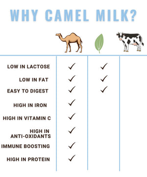 This chart shows the differences between camel milk vs cow milk. Camel milk is healthier than cow milk.