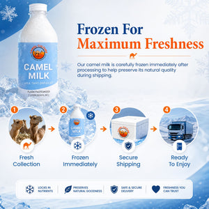 A promotional graphic for camel milk showing a large bottle of camel milk on a snowy blue background, with text reading 'Frozen For Maximum Freshness' and a four-step process illustrating camel milk collection, immediate freezing, secure shipping, and readiness for enjoyment.