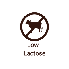 camel milk is low lactose