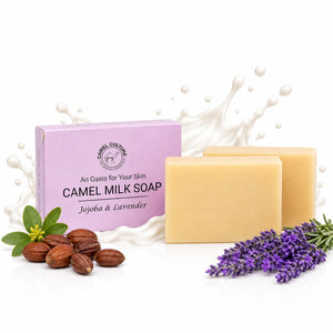 Camel Milk Soap bar set with its lavender-colored packaging box by Camel Culture, styled with almonds, green leaves, and purple lavender sprigs on a white background with a milk splash graphic.