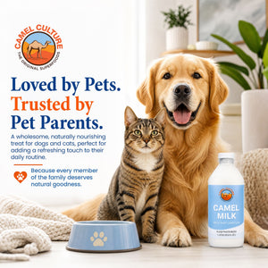 A golden retriever and a tabby cat sit beside a blue pet bowl and a bottle of Camel Culture Camel Milk in a bright indoor setting. Large promotional text on the left reads, 'Loved by Pets.