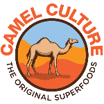Camel Culture logo with a camel in a desert landscape