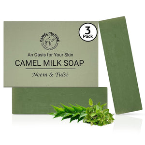 Camel milk soap packaging with three bars and a box labeled 'Camel Culture' on a white background.