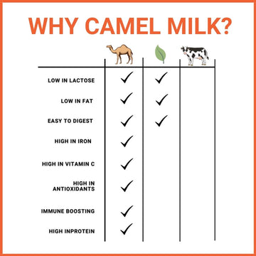 camel milk benefits infographic compared to plant-based milk and cow milk