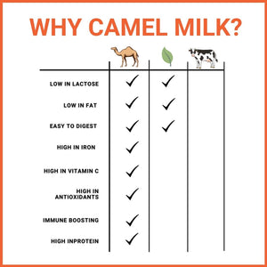 camel milk benefits infographic compared to plant-based milk and cow milk